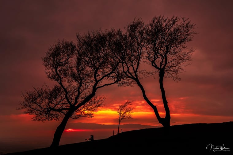 Three Sisters Of Cleeve Hill