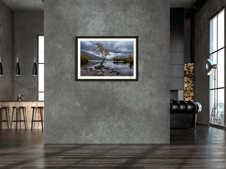 Lone Tree Lynn Padarn Fine Art Photography Print