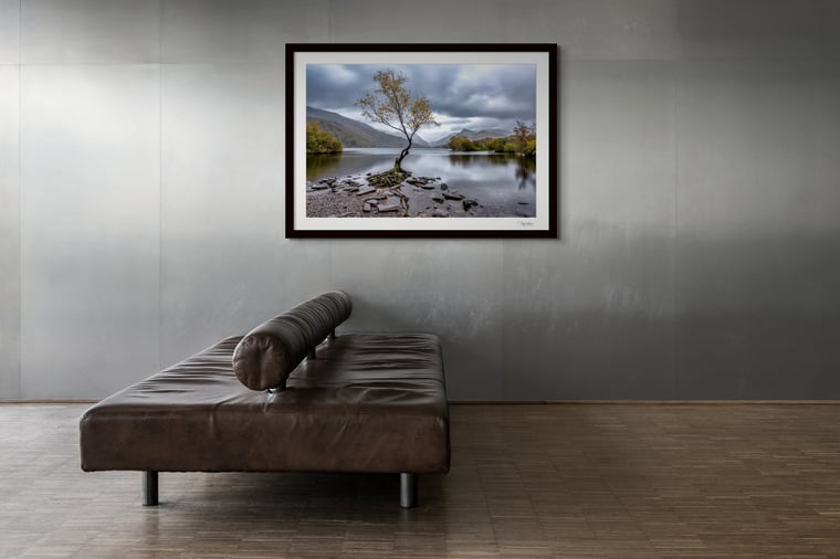 Lone Tree Lynn Padarn Framed Fine Art Photography Print