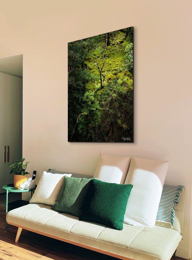 Signed Limited Edition Fine Art Woodland Print titled Take Flight taken in the Rainforests of Wales.