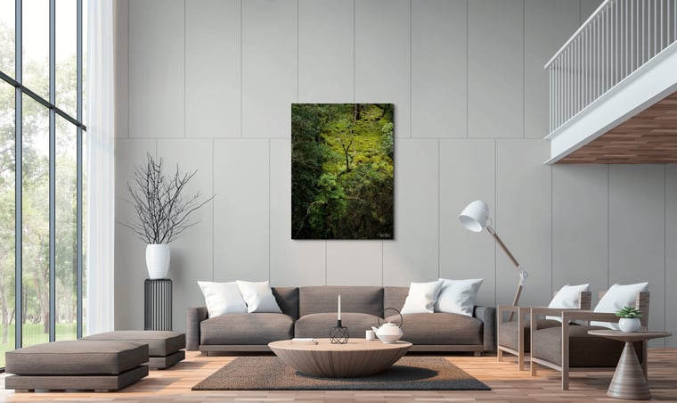 Signed Limited Edition Fine Art Woodland Print titled Take Flight taken in the Rainforests of Wales.