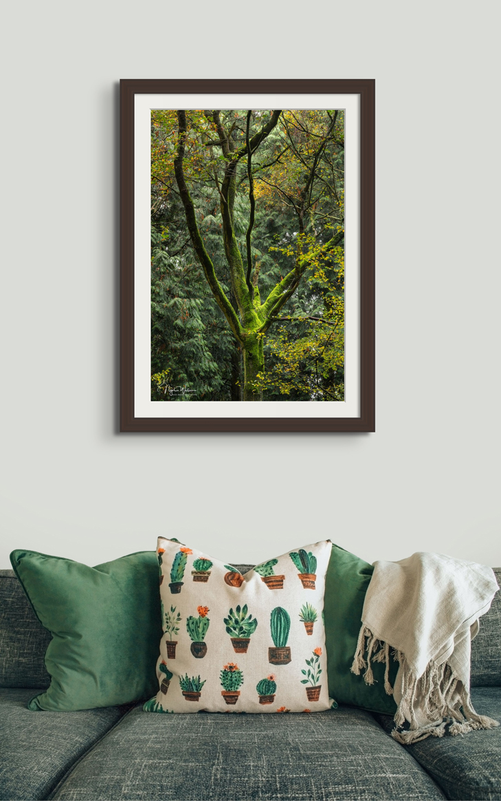 The Greacher -Fine Art Print by Nigel Waters Photography