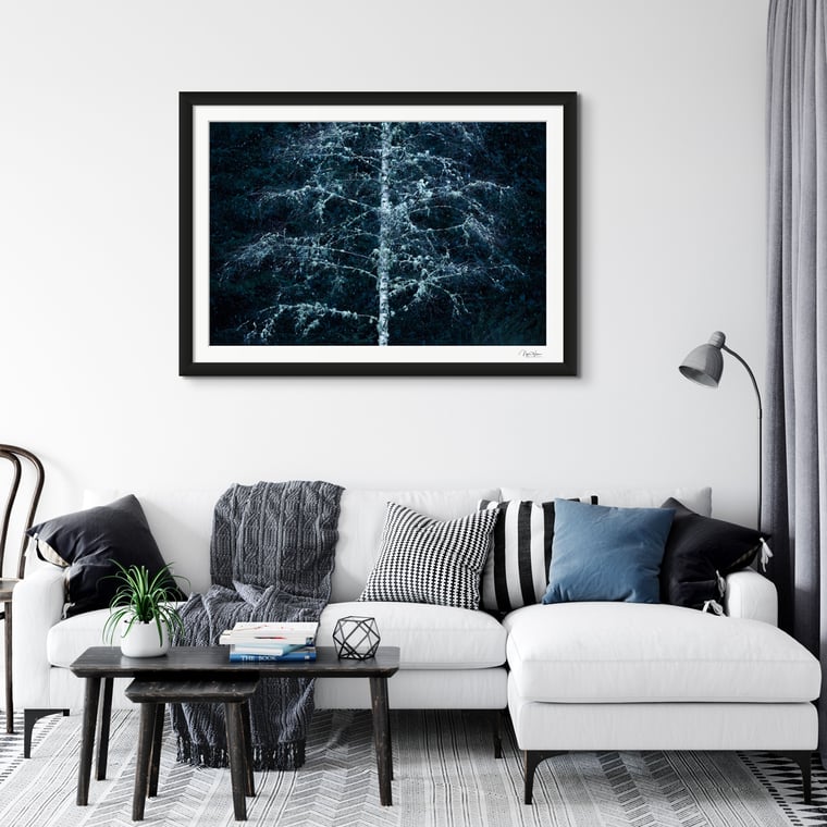 Kiss of Winter Fine Art Print by Nigel Waters Photography