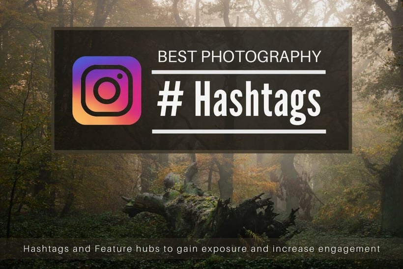 Nature Photography Hashtags and Feature Hubs