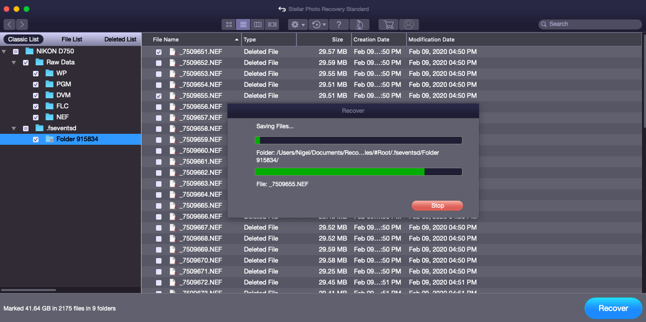 Stellar Recovery Tool recovering files