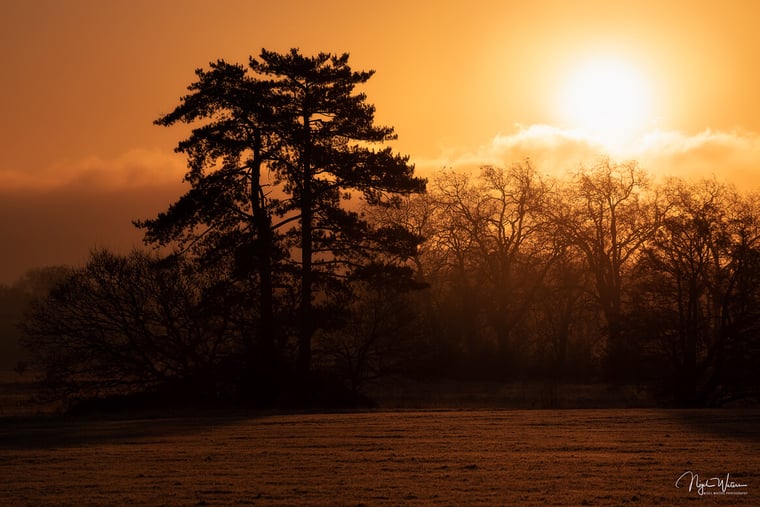 A New Day - Golden Sunrise Photograph in Worcestershire