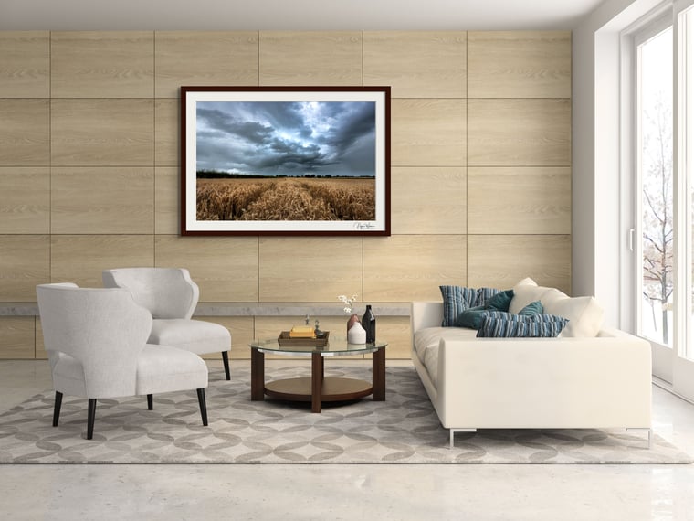 Tempestuous Fields Of Gold Framed Photography print