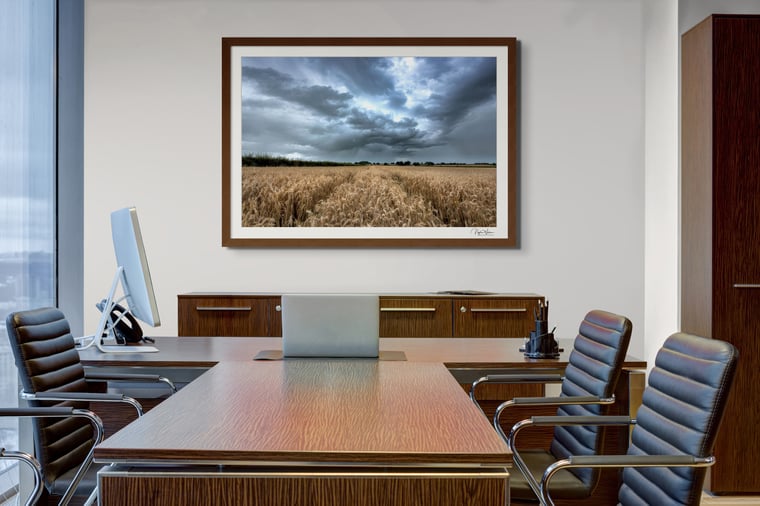 Tempestuous Fields Of Gold Framed Photography print