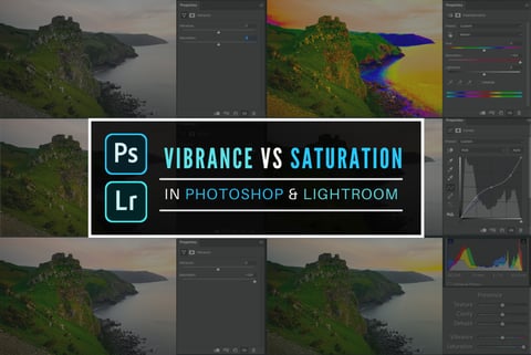 The difference between Vibrance vs Saturation
