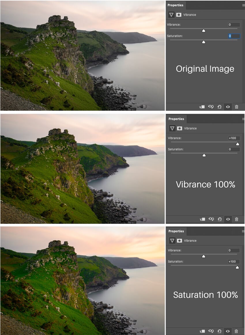 The Difference Between Vibrance Vs Saturation Explained