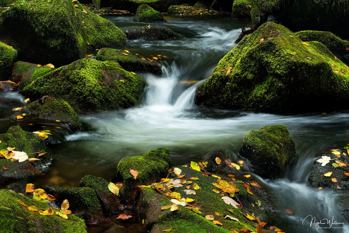 Limited Edition Waterfall print Gentle Falls of Golitha