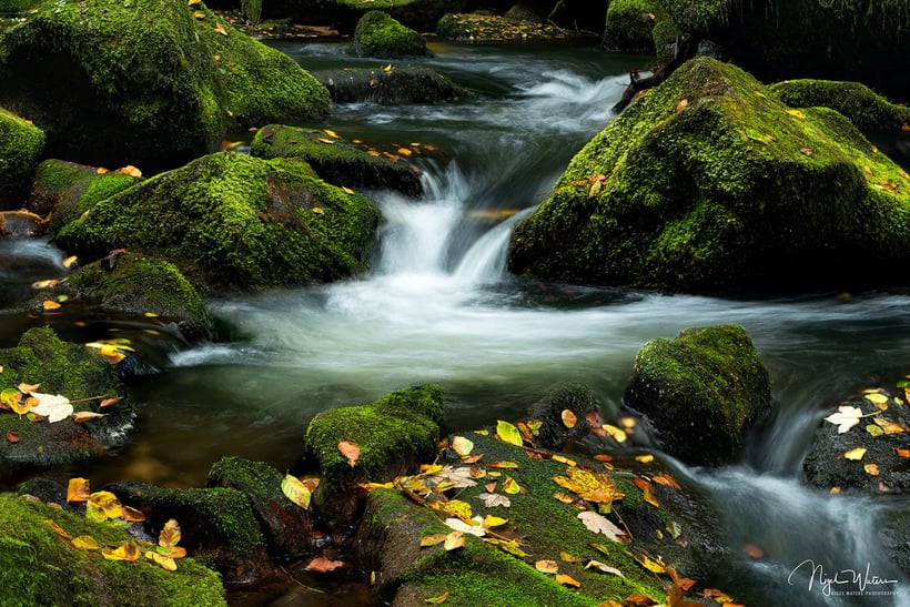 Gentle Falls of Golitha