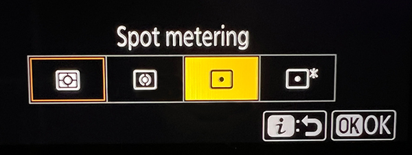 What is Spot Metering Camera
