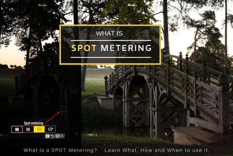 What is Spot Metering: Everything You Need to Know