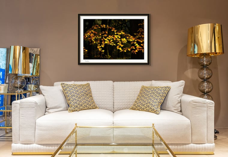 Illumine Folia - Fine Art Photograph Print