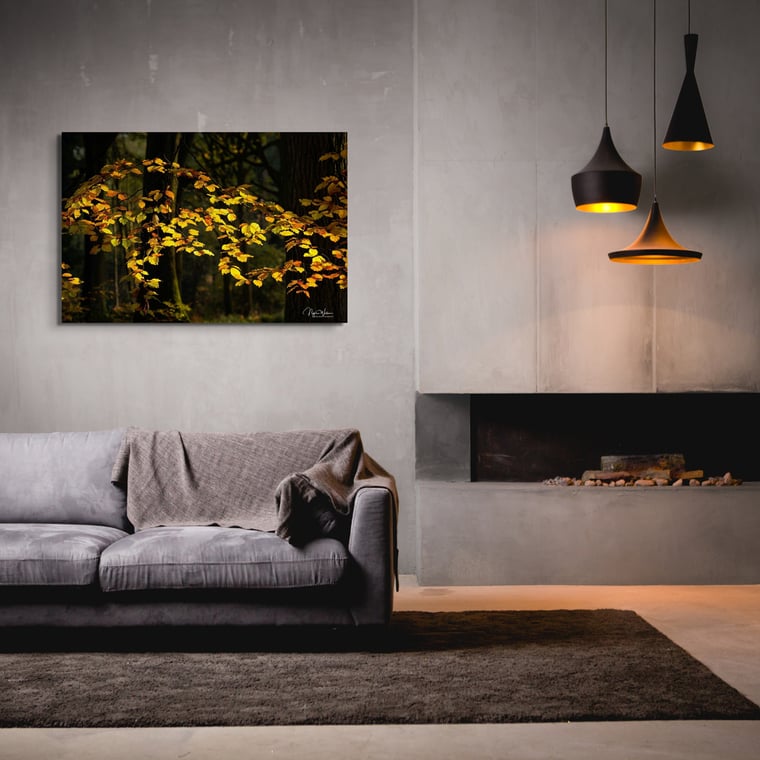 Illumine Folia - Fine Art Photograph Print