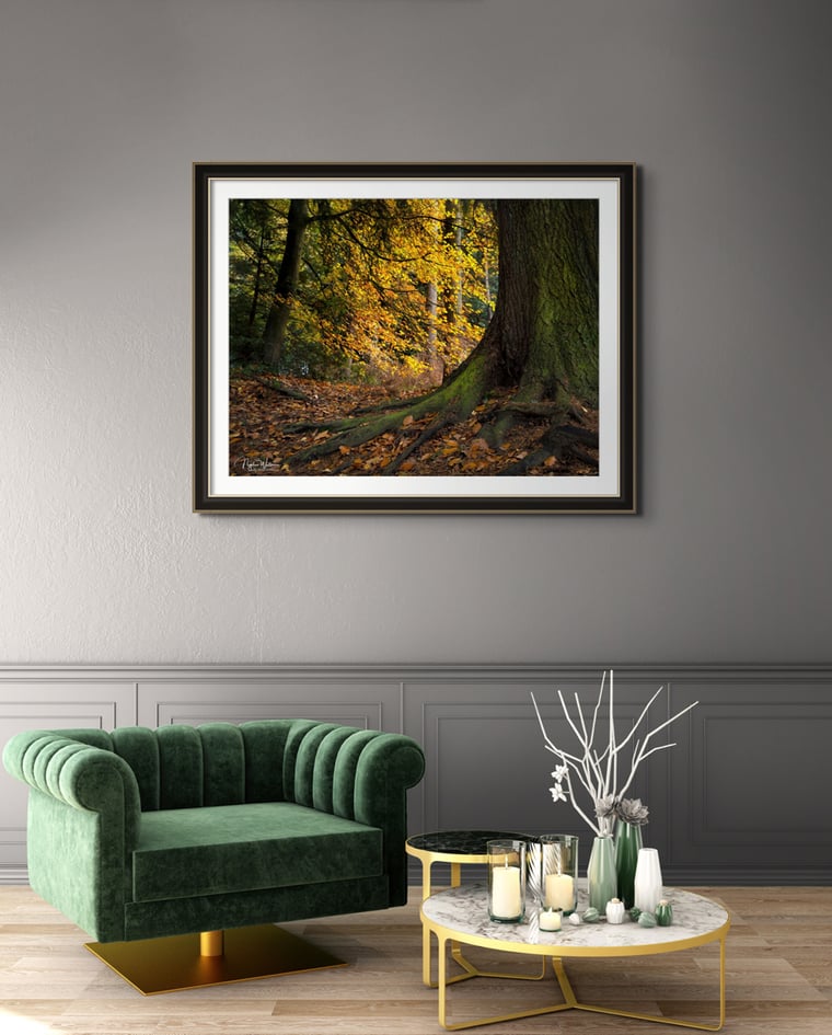 Yggdrasil Fine art Photography Print by Nigel Waters Photography