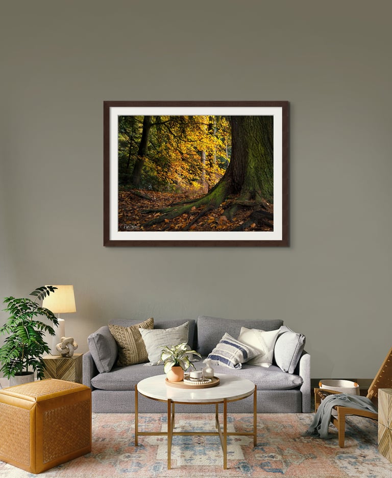 Yggdrasil Fine art Photography Print by Nigel Waters Photography