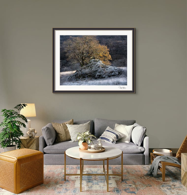 Weirwood Fine Art Print Living Room Wall Art