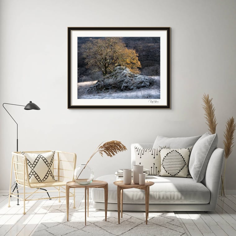 Weirwood Fine Art Print Living Room Wall Art