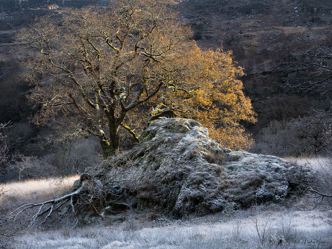 Limited edition photograph print Weirwood taken in Snowdonia Wales