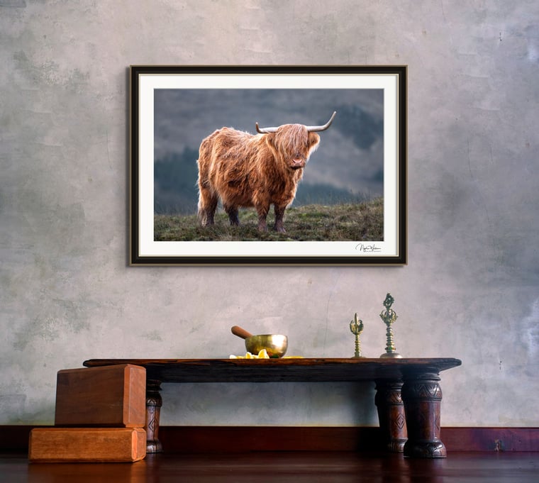 Heilan Coo Framed Photography print