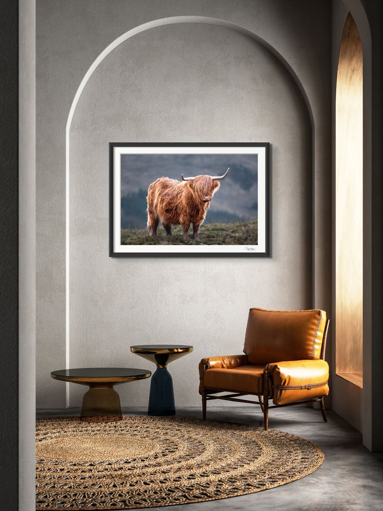 Heilan Coo Framed Photography print
