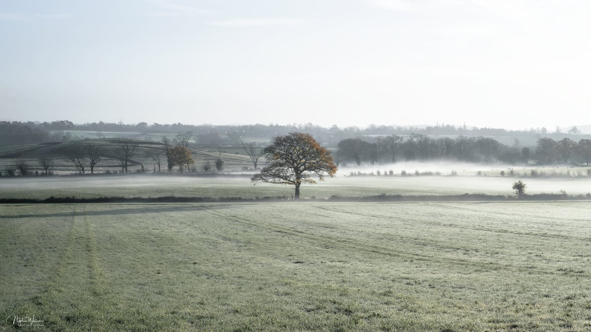 Limited edition photograph print The Silent Spectator taken in Worcestershire