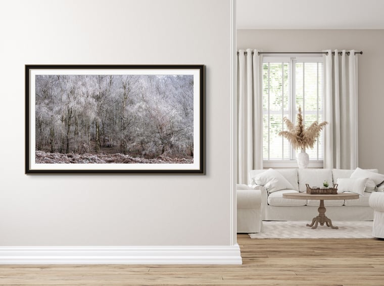 Frozen In Time Fine Art Print by Nigel Waters Photography