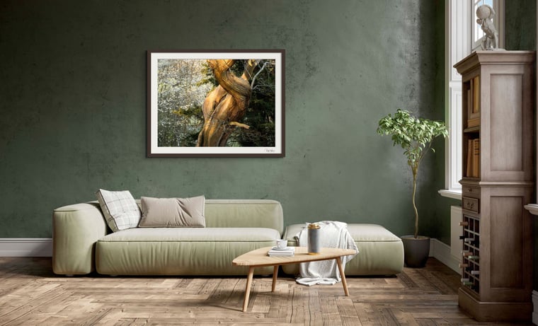 Contortion Fine Art Print by Nigel Waters Photography