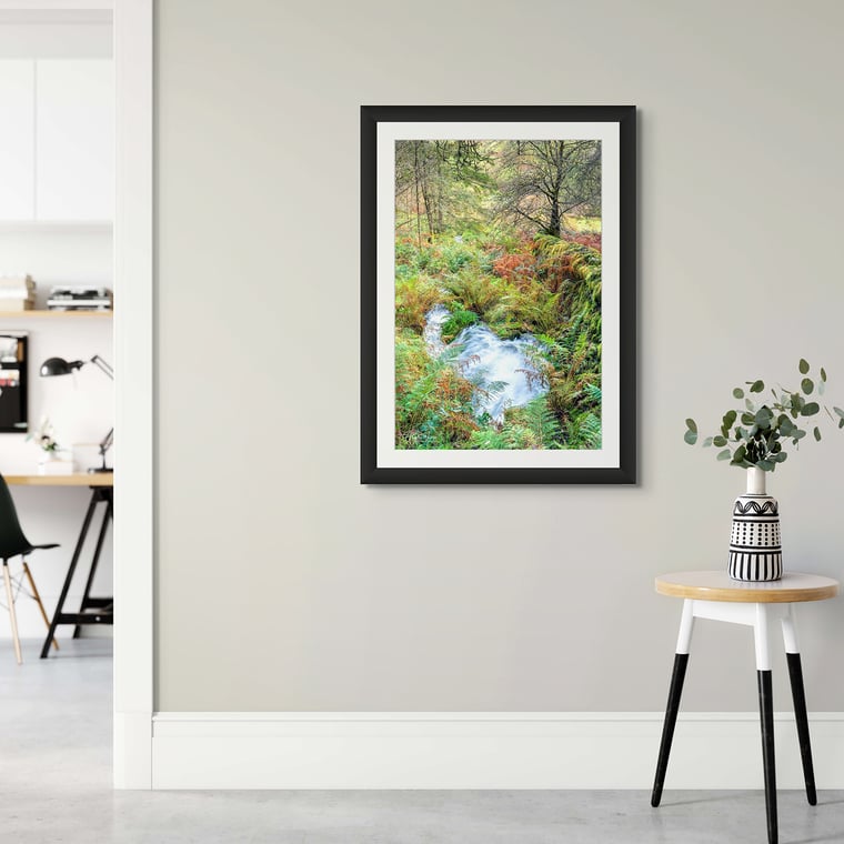 Signed Limited Edition Fine Art Woodland Print titled Autumn Spring taken in the Rainforests of Wales.