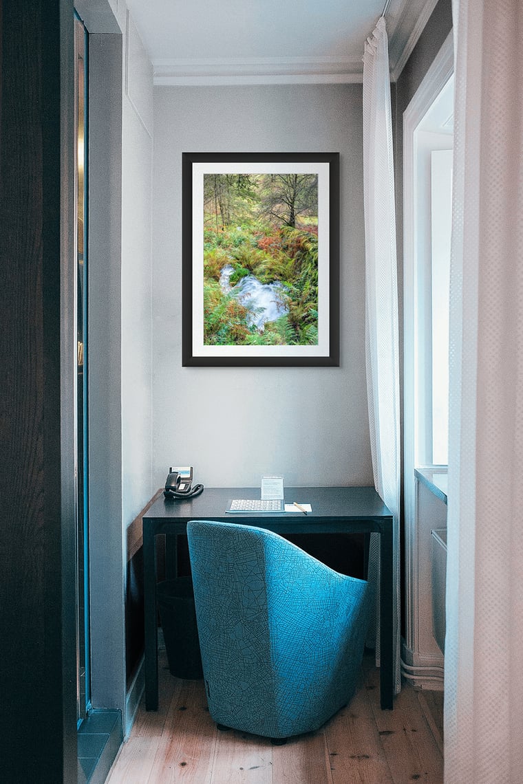 Signed Limited Edition Fine Art Woodland Print titled Autumn Spring taken in the Rainforests of Wales.