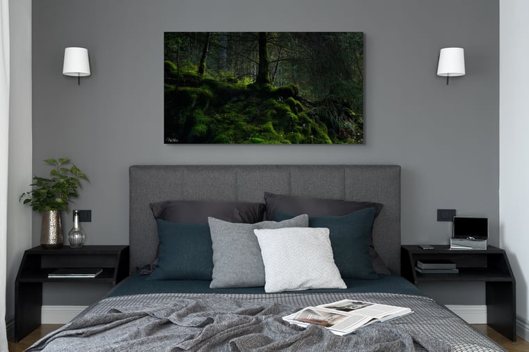 Signed Limited Edition Fine Art Woodland Print titled Bigfoot taken in the Rainforests of Wales.