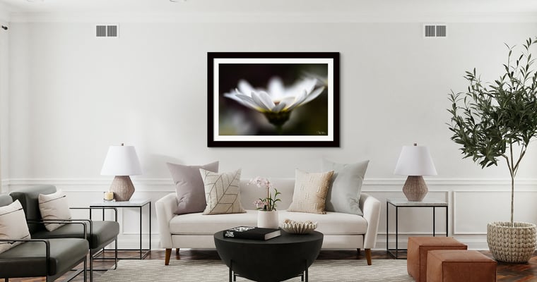 Limited Edition Abstract Nature Photograph Print titled Candidus