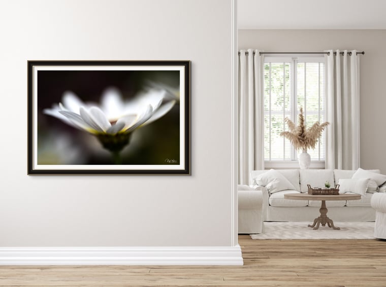 Limited Edition Abstract Nature Photograph Print titled Candidus