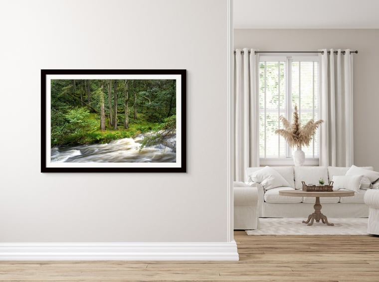 Signed Limited Edition Fine Art Woodland Print titled Conundrum taken in the Rainforests of Wales.