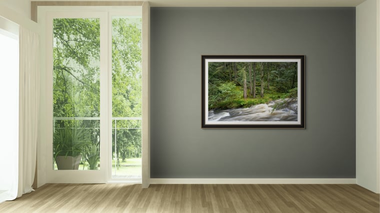 Signed Limited Edition Fine Art Woodland Print titled Conundrum taken in the Rainforests of Wales.