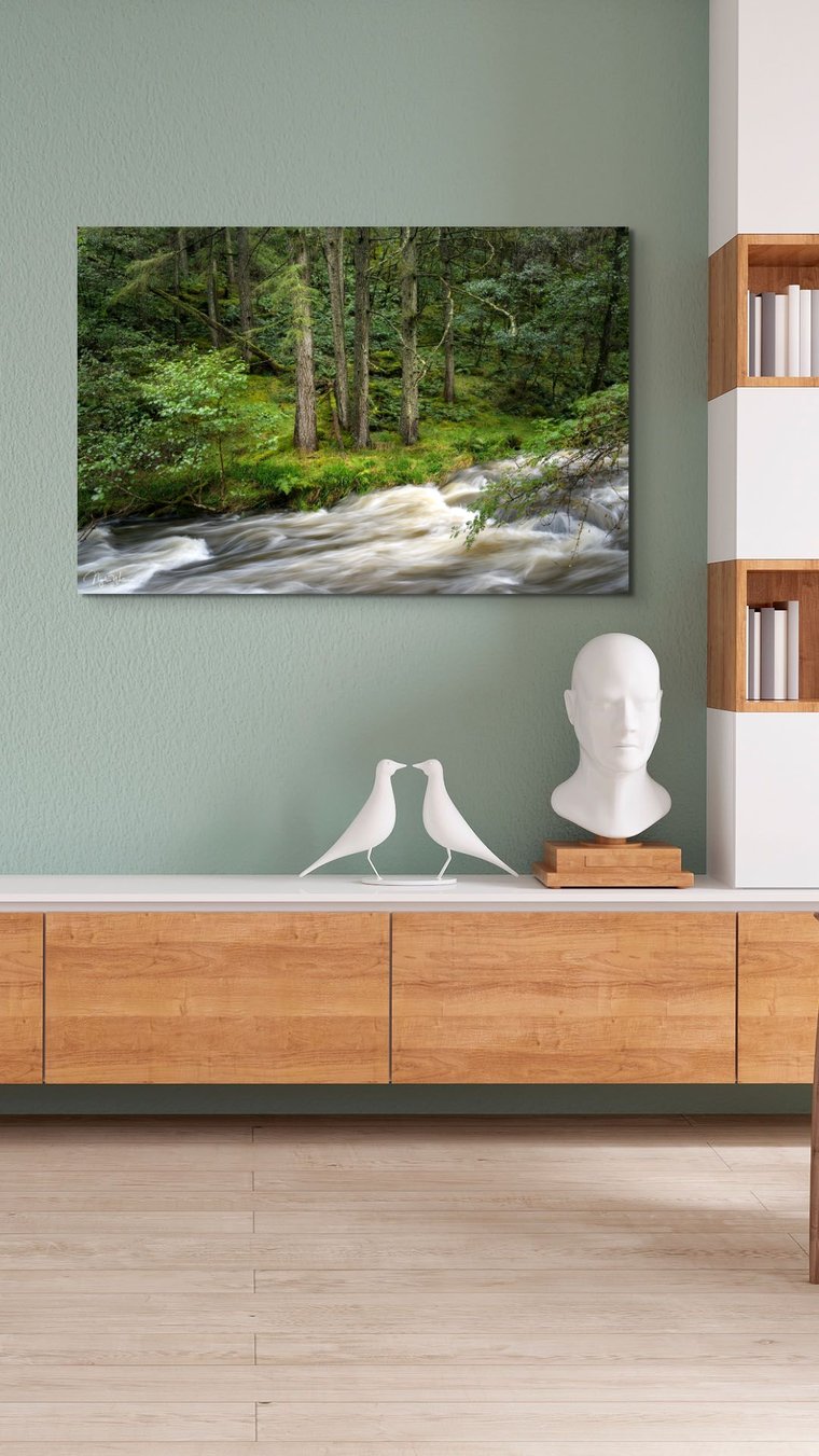 Signed Limited Edition Fine Art Woodland Print titled Conundrum taken in the Rainforests of Wales.