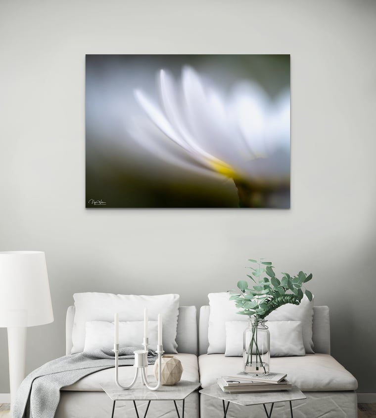 Limited Edition Abstract Nature Photograph Fine Art Print titled Daisaurora