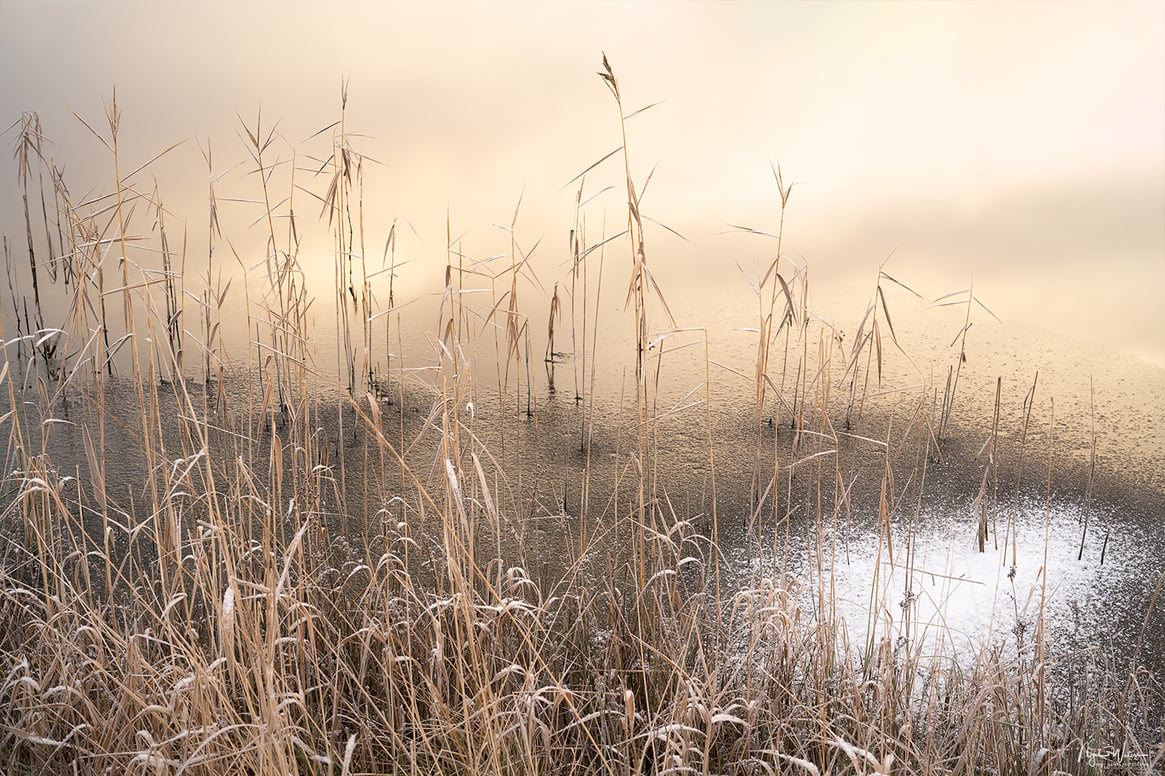 Limited Edition Abstract Nature Photograph Print titled Dancing on ice