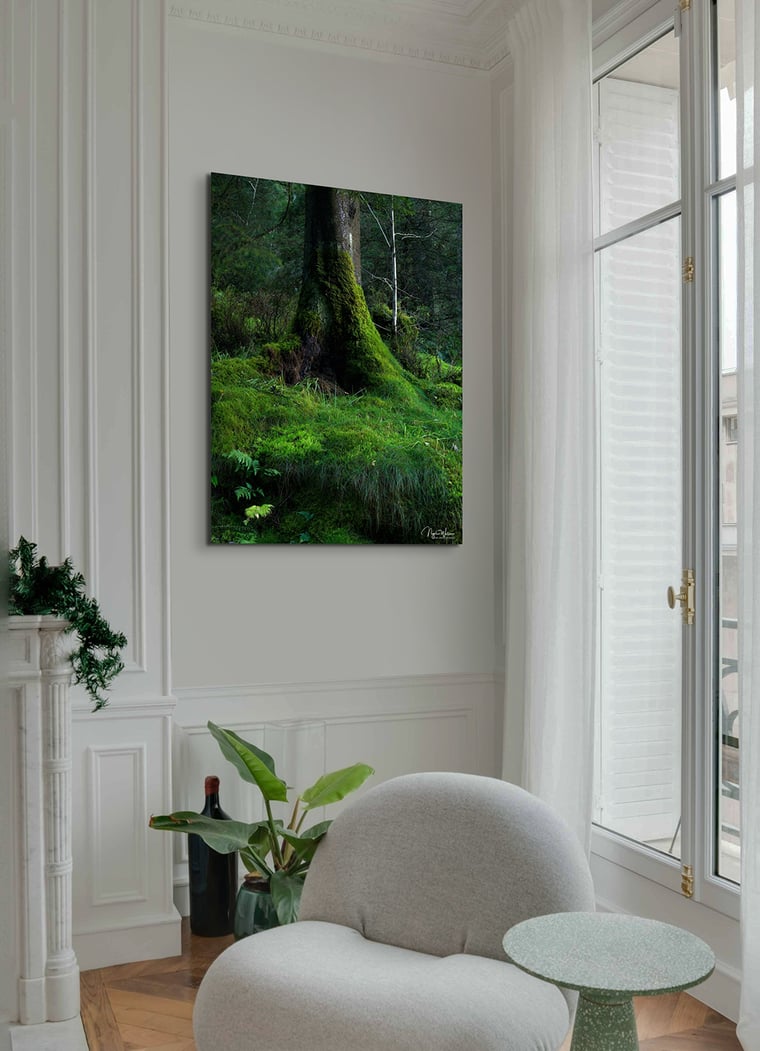 Signed Limited Edition Fine Art Woodland Print titled Emerald Tapestry taken in the Rainforests of Wales.