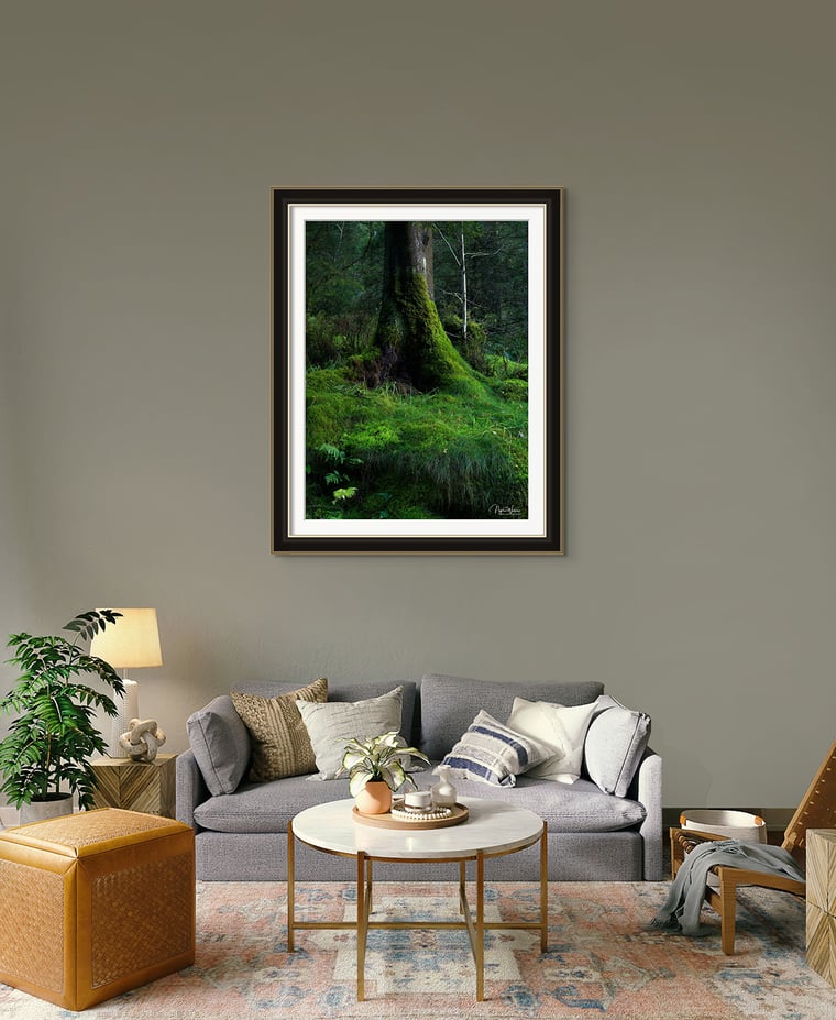 Signed Limited Edition Fine Art Woodland Print titled Emerald Tapestry taken in the Rainforests of Wales.