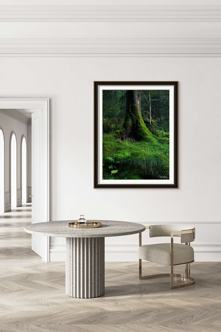 Signed Limited Edition Fine Art Woodland Print titled Emerald Tapestry taken in the Rainforests of Wales.