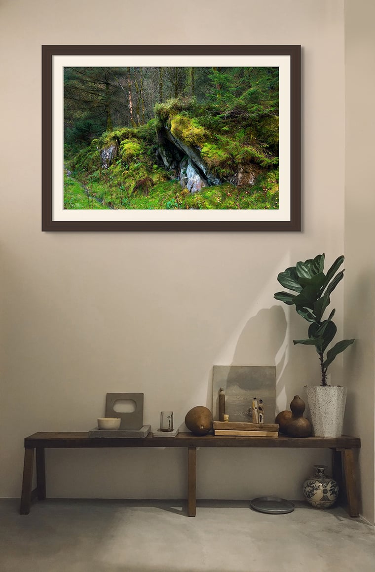 Signed Limited Edition Fine Art Woodland Print titled Rainforest Magic taken in the Rainforests of Wales.