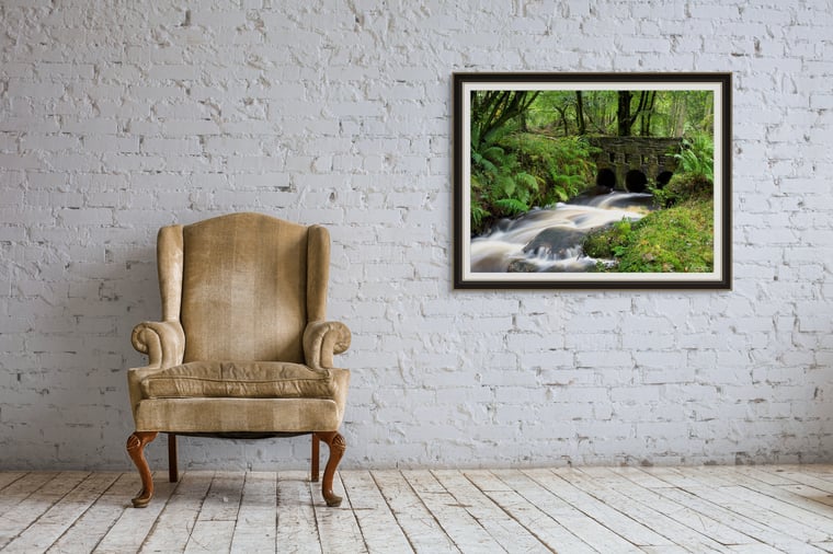 Signed Limited Edition Fine Art Woodland Print titled Tranquility taken in Rain Forests of Wales.