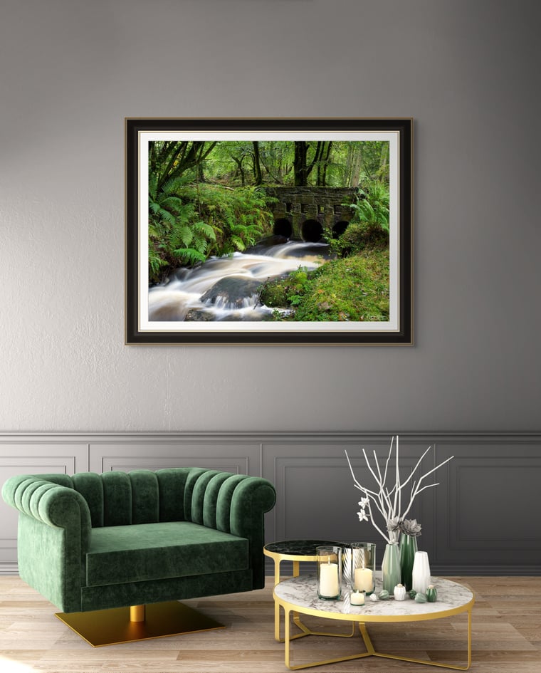 Signed Limited Edition Fine Art Woodland Print titled Tranquility taken in Rain Forests of Wales.