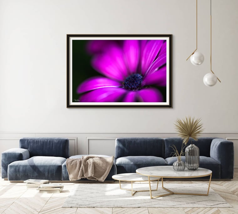 Limited Edition Abstract Nature Photograph Print titled Violet Whispers