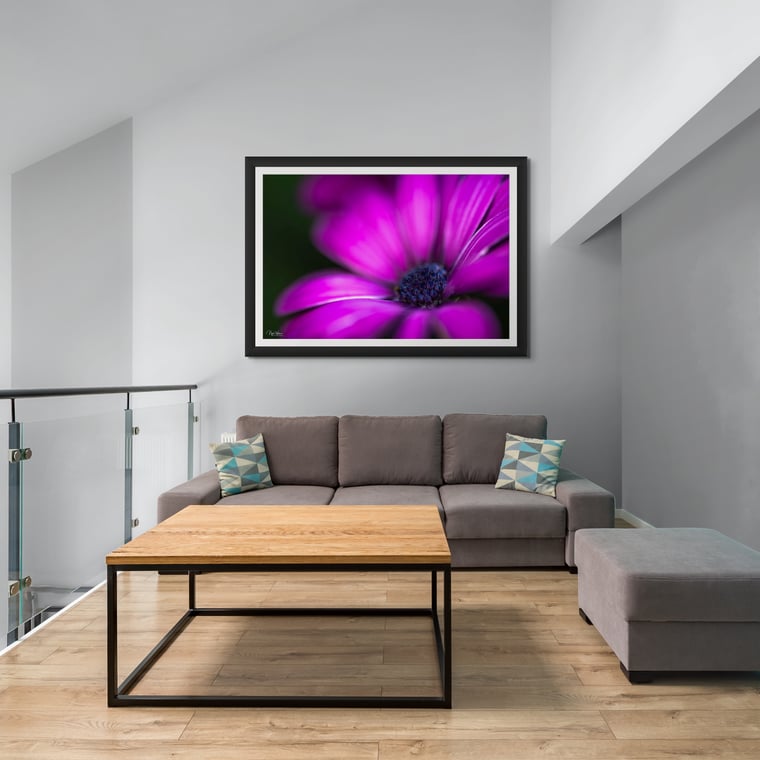 Limited Edition Abstract Nature Photograph Print titled Violet Whispers