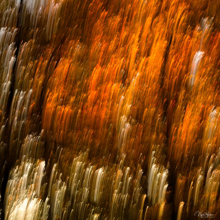 Limited Edition Abstract Nature Photograph Fine Art Print titled Autumn Lift