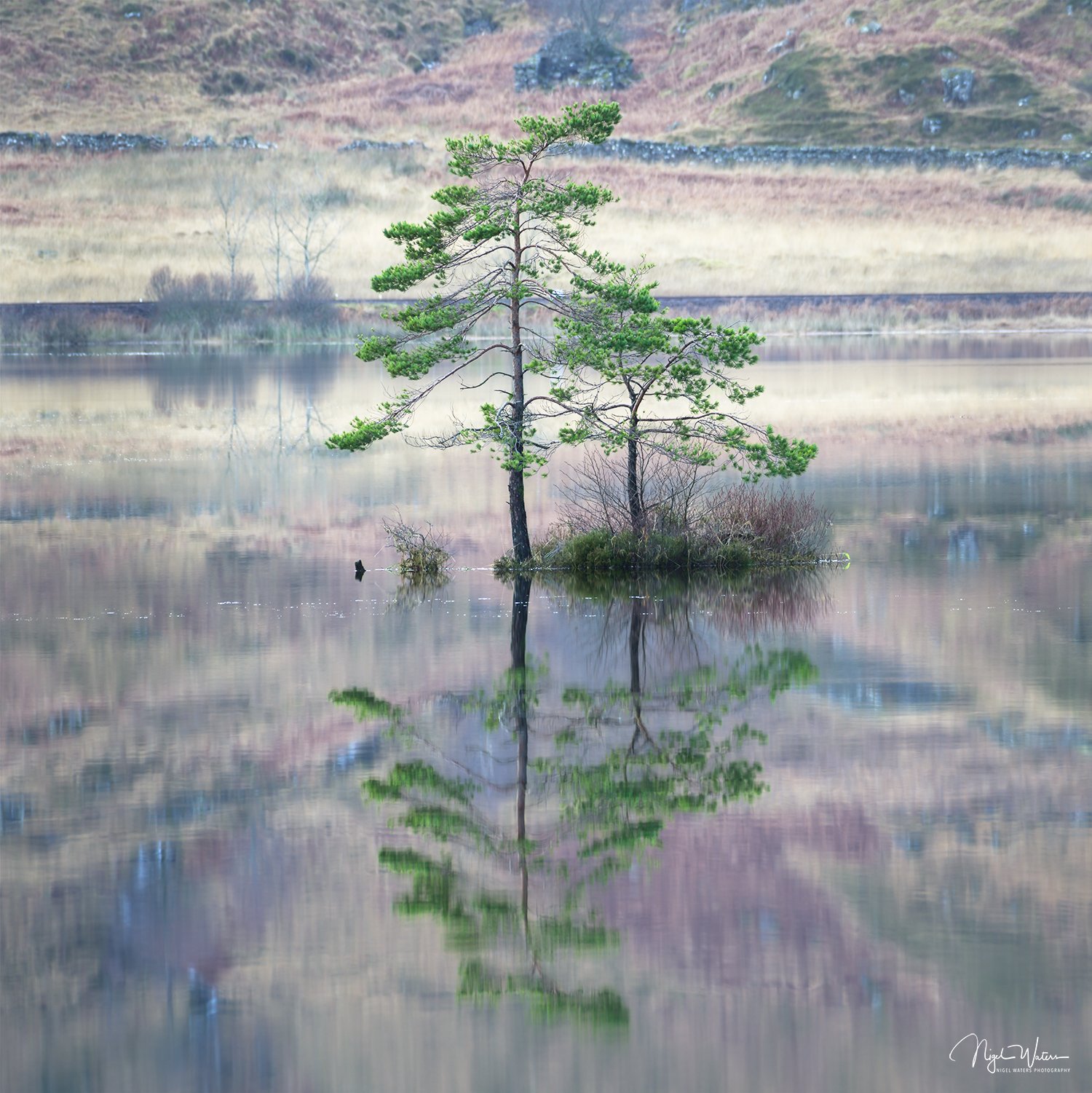 Silent Watch a Photograph Print taken in Scotland Highlands